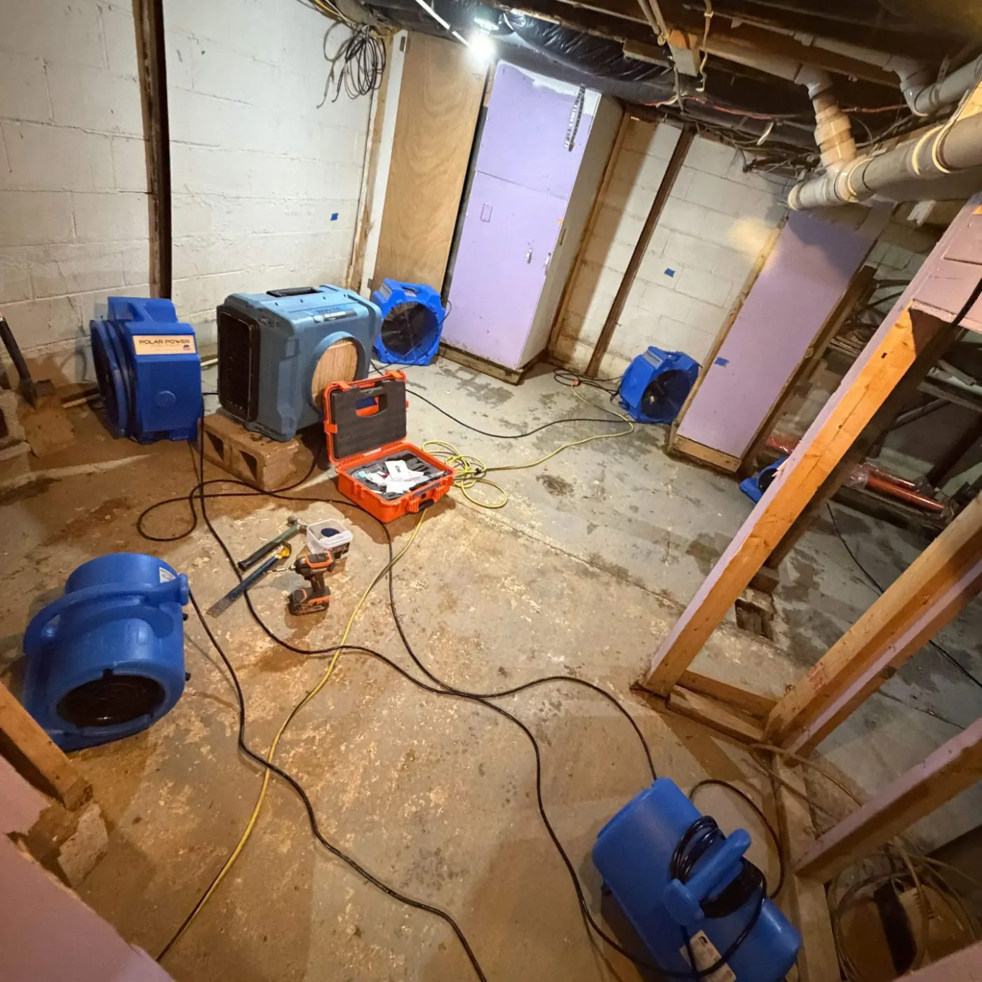 Category 3 sewage cleanup in Brendonwood basement